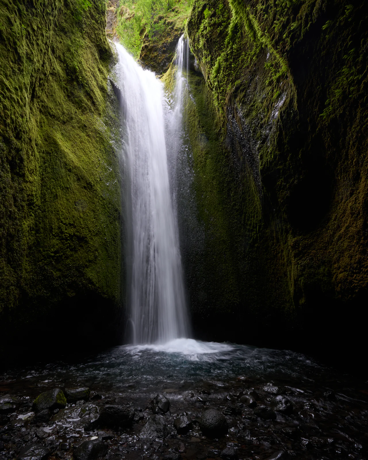 A tall waterfall pouring into a dark pool inside a narrow canyon of green moss